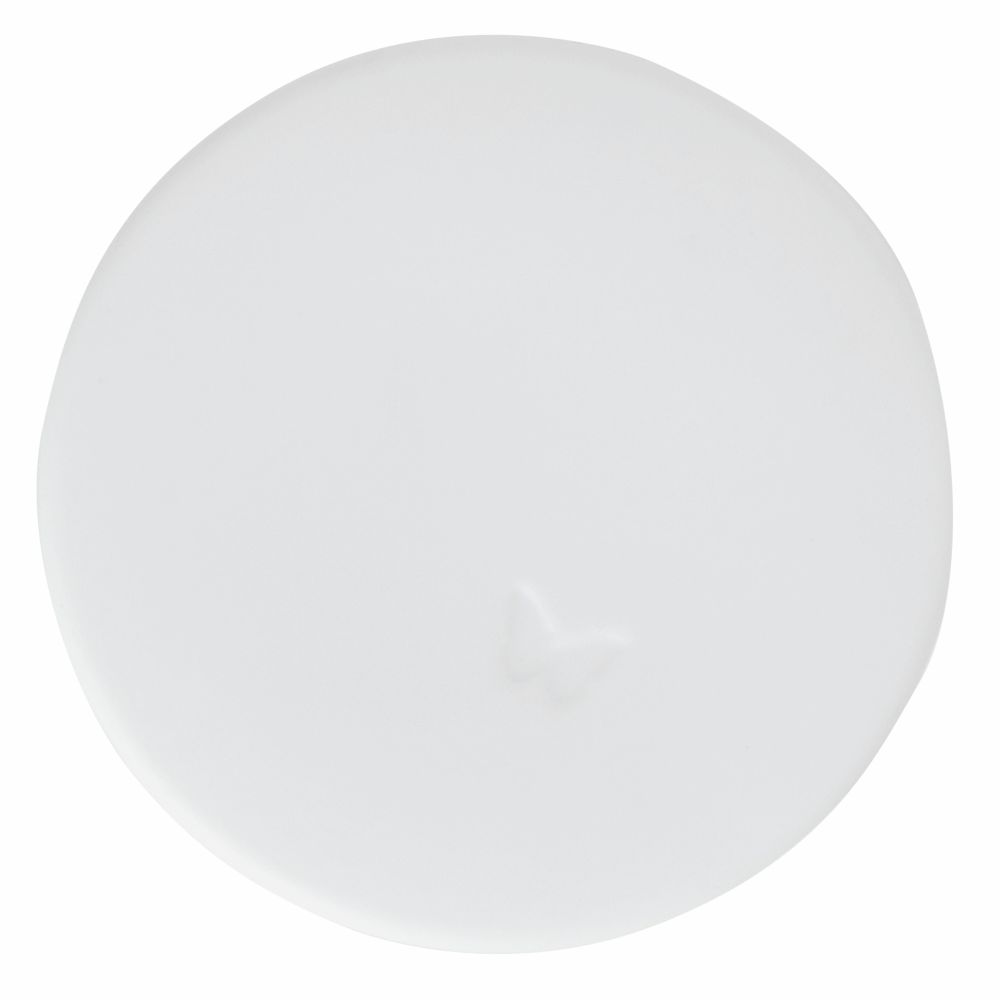 Kunst, Porzellan, Töpferei, Teller