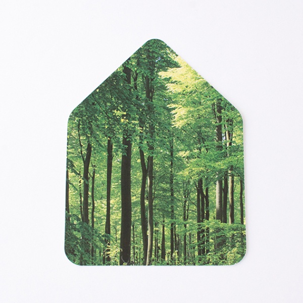 gross_zwitscherbox-wald_948234kntb6nYyEsQab Zwitscherbox Wald