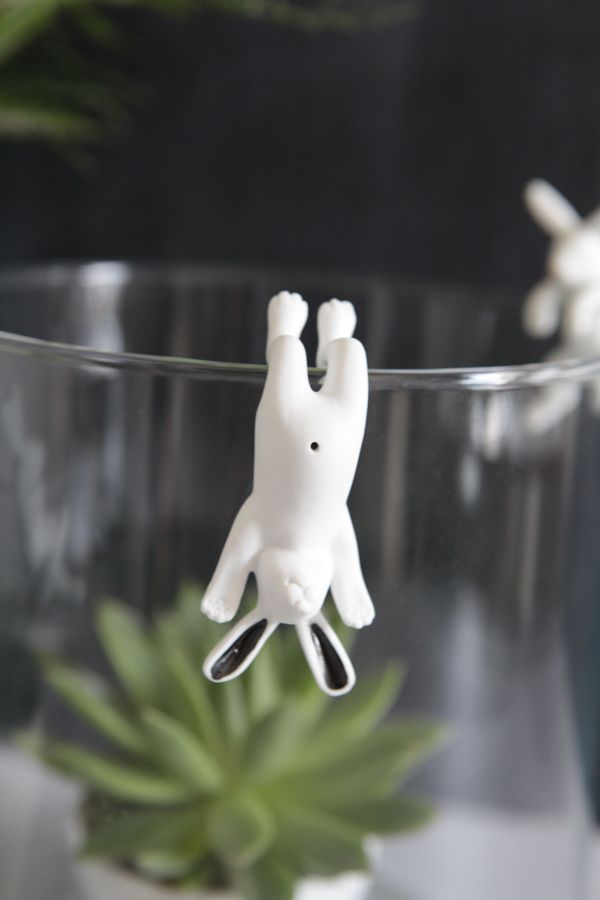 IMG_4913 Kletterhase 14168