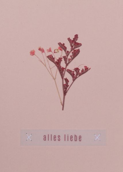 Blumengruß Glückwunschkarte "Alles Liebe"